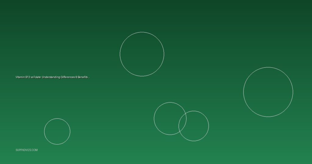 Vitamin B12 vs Folate: Understanding Differences & Benefits for 2026