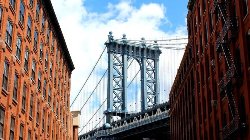 Doctor explaining joint anatomy