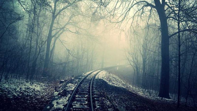 Illustration of calcium's role in bone structure