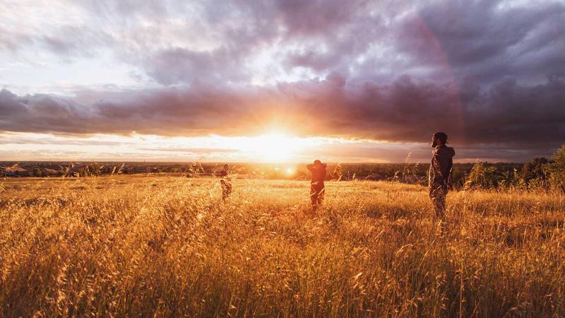 Close-up of a turmeric root and capsules