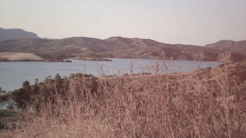 Woman preparing protein shake in kitchen