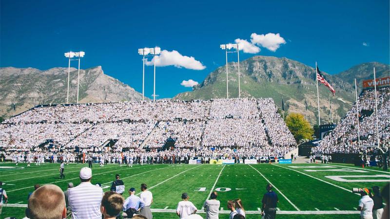 Person choosing supplements from a colorful shelf