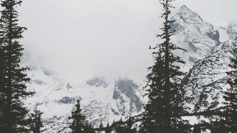 Person taking vitamin D supplement outdoors on a sunny day