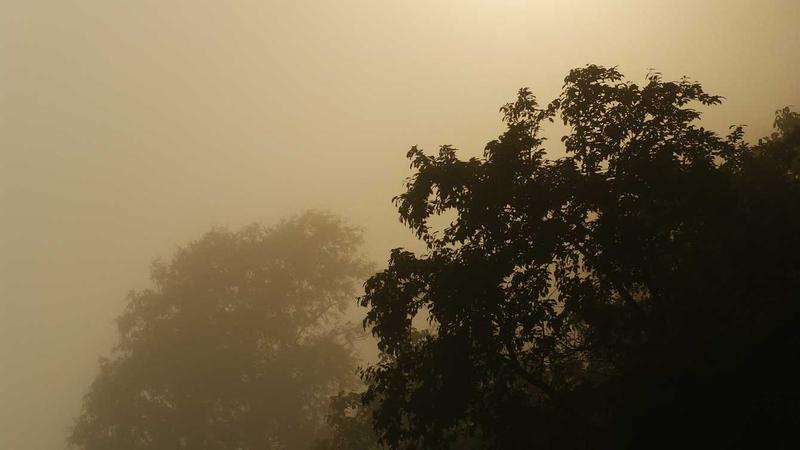 Bottles of natural joint supplements on a wooden table