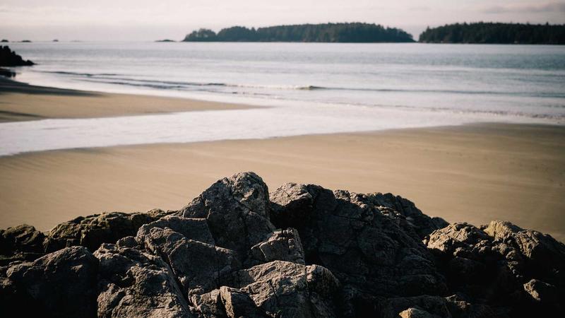 Brain and muscle cells illustration for creatine benefits