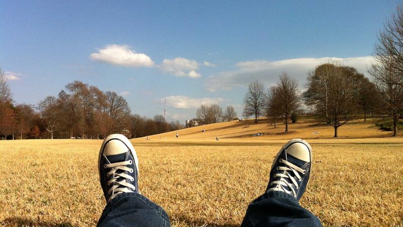 Woman preparing healthy meal in kitchen