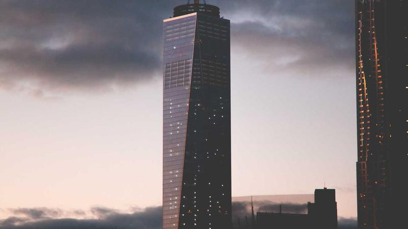 Various vegan protein powders on a kitchen counter