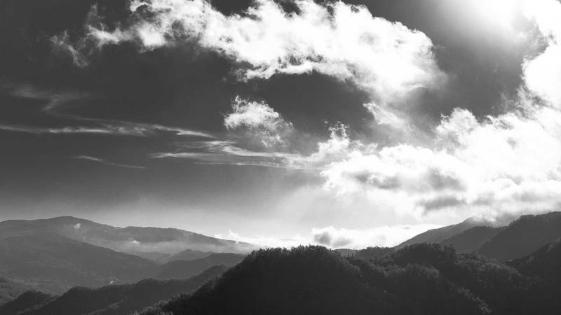 Vegan protein smoothie with fresh fruit and ingredients