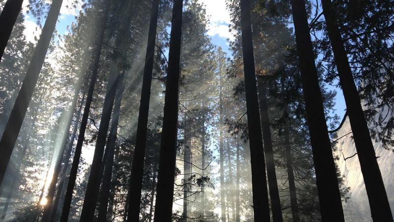 Stack of longevity supplements on a table