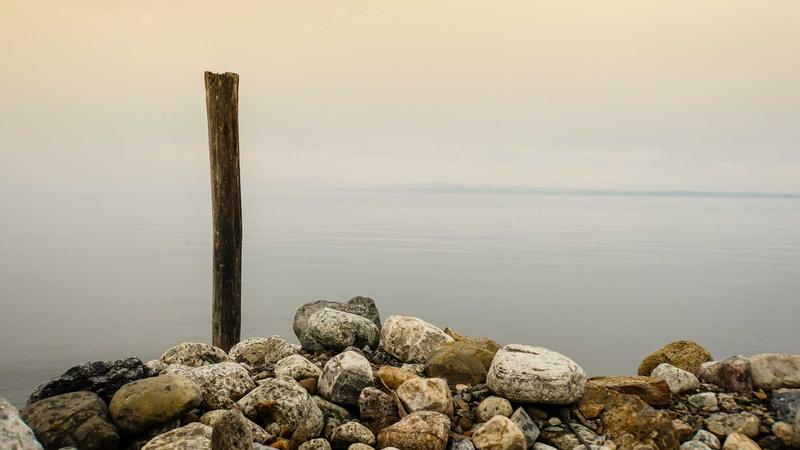 Close-up of mineral supplement bottles and capsules