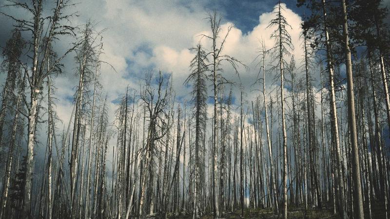 Runner preparing with pre-workout supplement