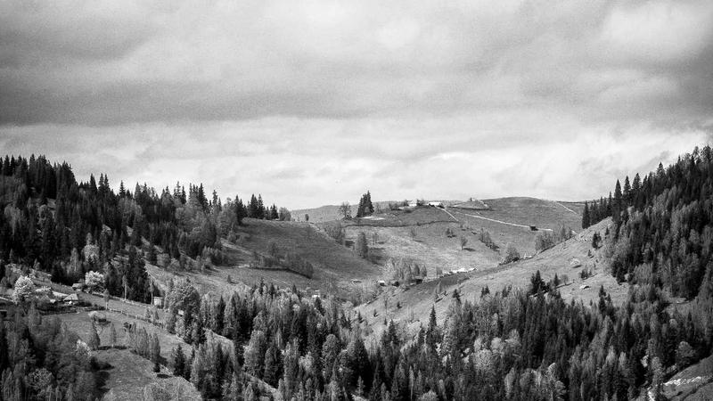 Muscle fibers repairing after exercise