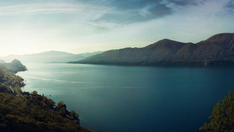 Close-up of green tea extract capsules and Garcinia cambogia supplement bottles