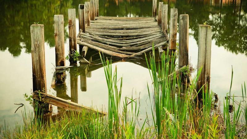 Bottles of nootropic supplements on a wooden table