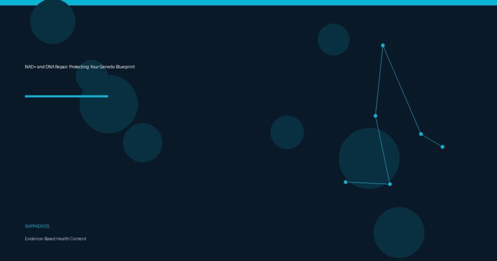 NAD+ and DNA Repair: Protecting Your Genetic Blueprint